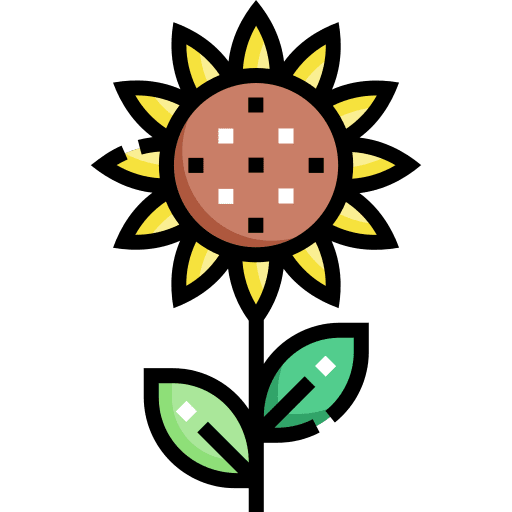 Sunflower botanical farming and gardening flowers icon