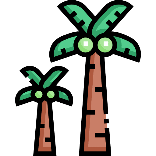 Coconut tree palm tree plant coconut tree icon Coconut tree palm tree plant coconut tree icon
