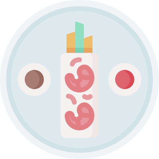 Spring roll plate chinese food spring roll icon