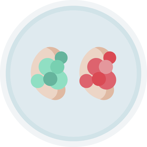 Appetizer gastronomy plate food icon