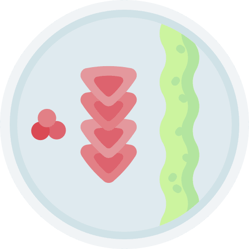 Meat meat plate sauce icon