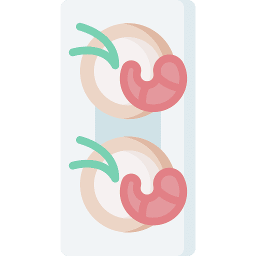 Shrimp appetizer dinner bites icon