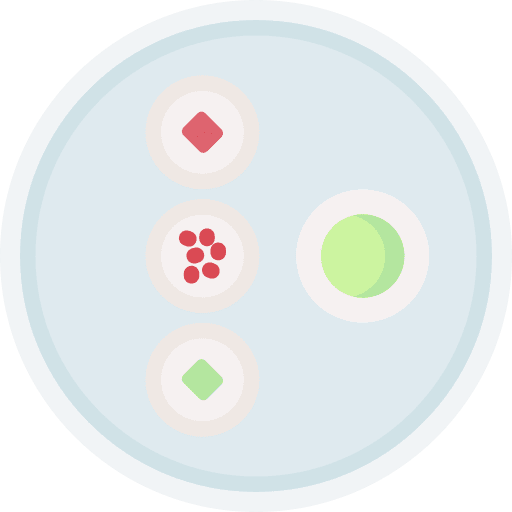 Sushi tuna fish sushi icon