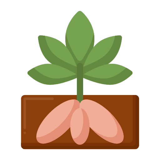 Yucca nature healthy food food and restaurant icon