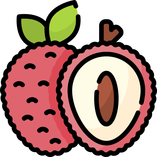 Lychee food fruit diet icon