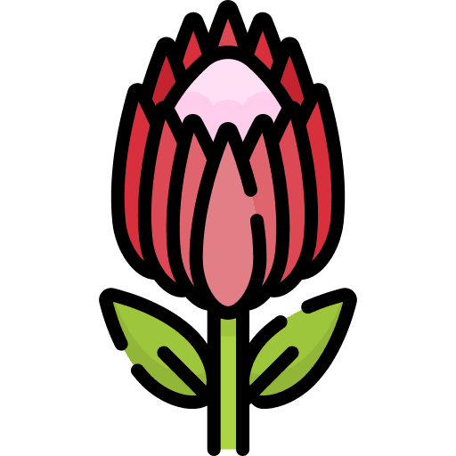 Protea nature south africa botanical icon