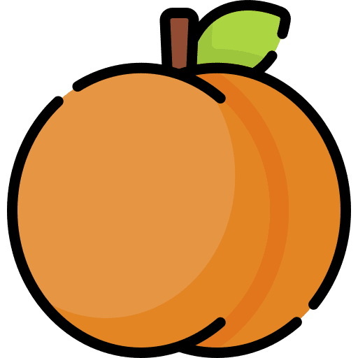 Apricot healthy food vegetarian fruit icon