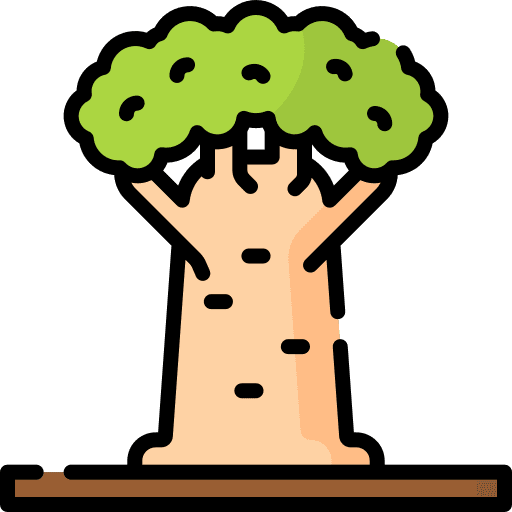Baobab jungle wildlife tree icon