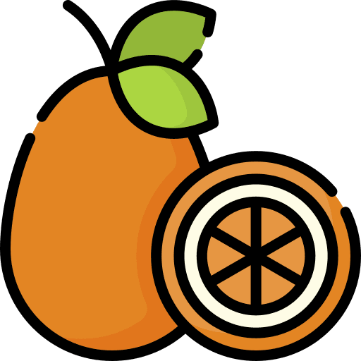 Kumquat diet vegan food icon