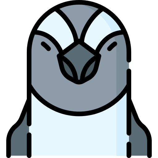 Penguin animal kingdom penguin animals icon