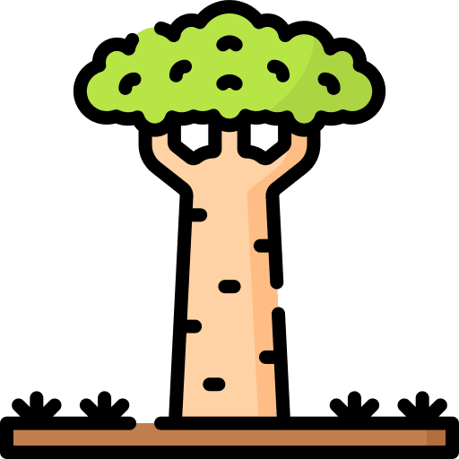 Adansonia botanical tree forest icon Adansonia botanical tree forest icon