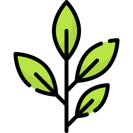 Eucalyptus eucalyptus botanical leaf icon