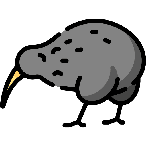 Kiwi ornithology fauna zoology icon