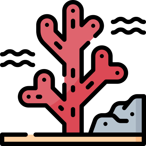 Coral coral reef plant marine icon Coral coral reef plant marine icon