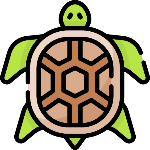 Turtle fauna turtle animals icon Turtle fauna turtle animals icon