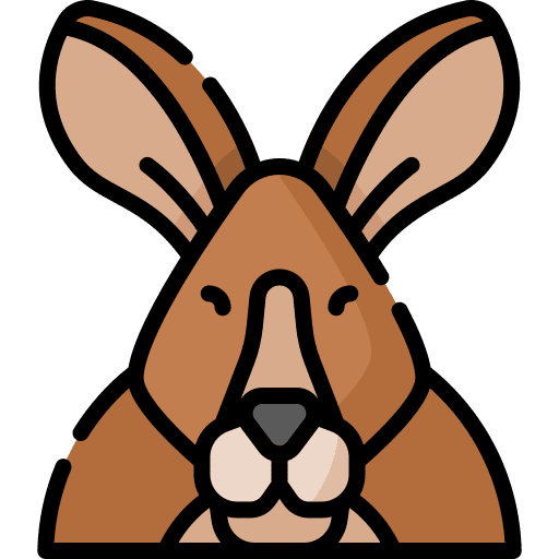 Kangaroo zoology animal wild life icon Kangaroo zoology animal wild life icon