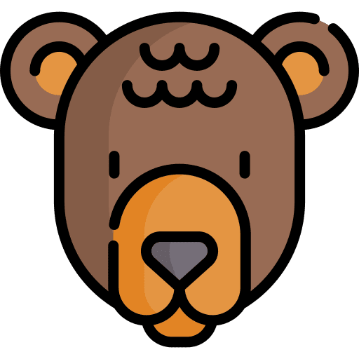 Bear mammal bear zoo icon