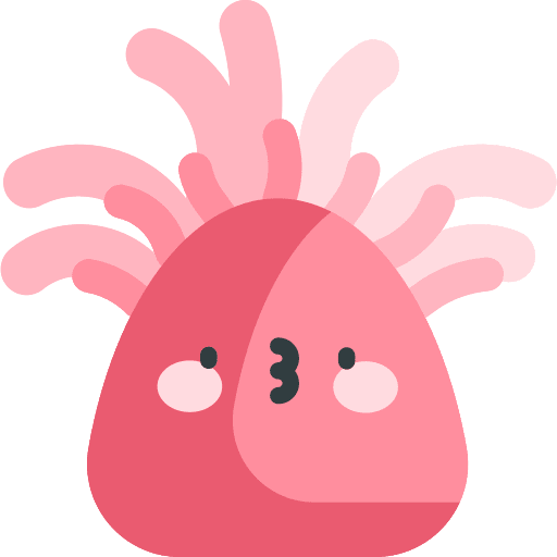 Anemone marine nature aquatic icon