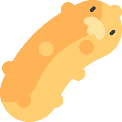 Sea cucumber sea animal sea cucumber wild life icon
