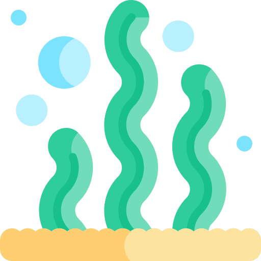 Seaweed seaweed aquarium animals icon