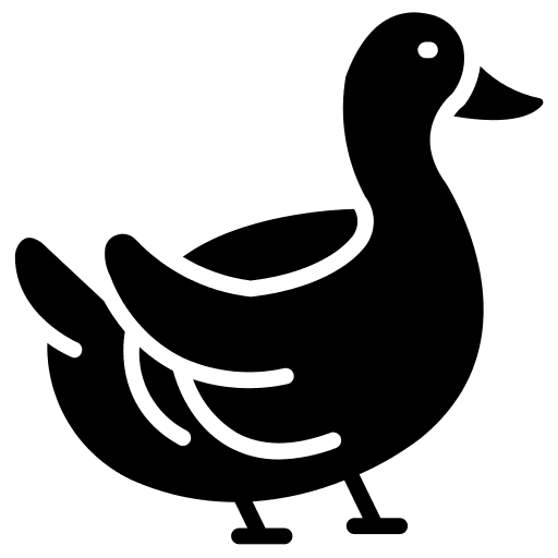 Duck bird animal animals icon