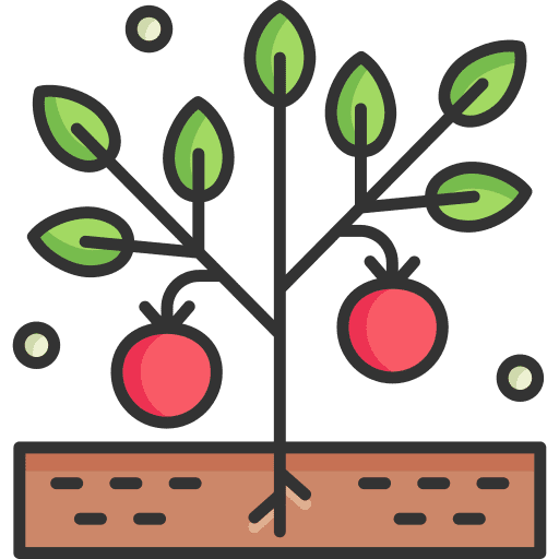 Plant fruit leaf branch icon Plant fruit leaf branch icon