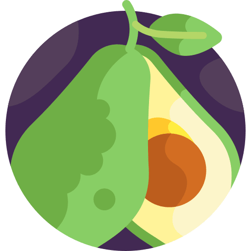 Avocado food vegan avocado icon