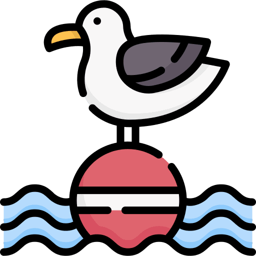 Seagull bird animal kingdom animals icon