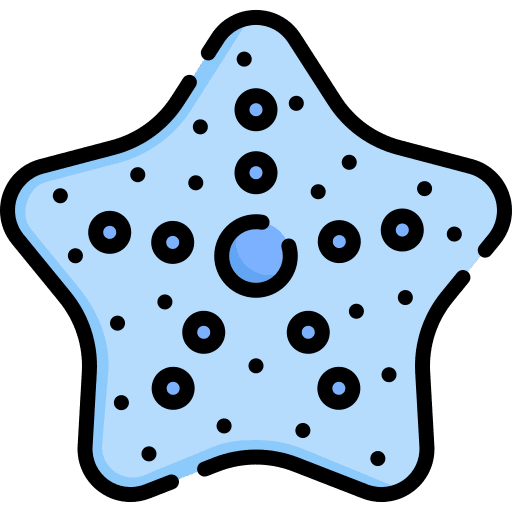 Starfish animals ocean animal icon