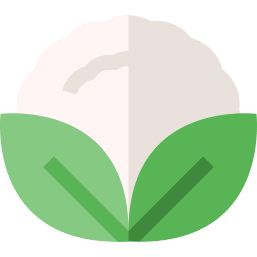 Cauliflower food vegan food and restaurant icon Cauliflower food vegan food and restaurant icon