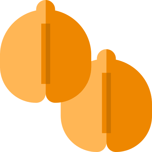 Chickpeas chickpeas chickpea food and restaurant icon