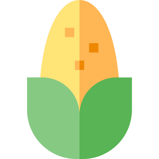 Corn diet vegetarian healthy food icon Corn diet vegetarian healthy food icon
