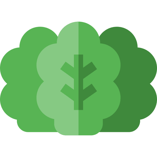 Lettuce vegan organic diet icon Lettuce vegan organic diet icon