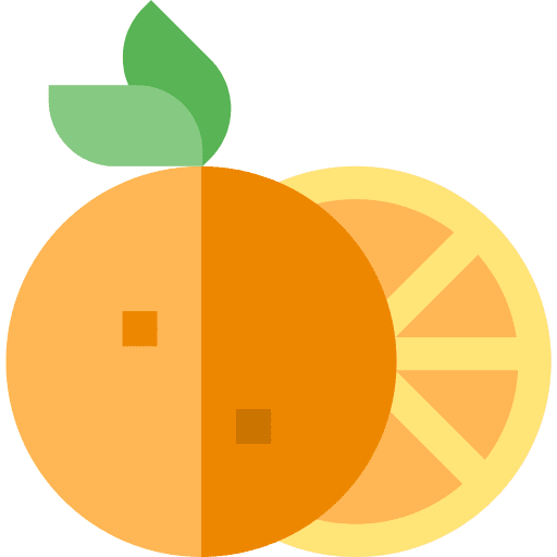 Orange orange fruit healthy food icon Orange orange fruit healthy food icon