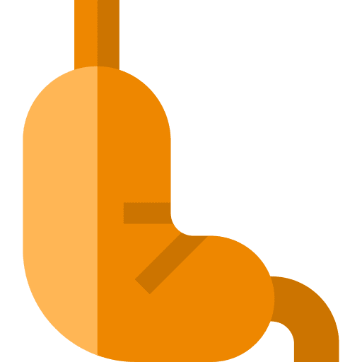 Stomach healthcare medical anatomy icon Stomach healthcare medical anatomy icon