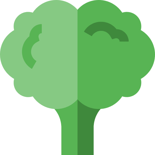 Broccoli vegetarian vegan organic icon Broccoli vegetarian vegan organic icon