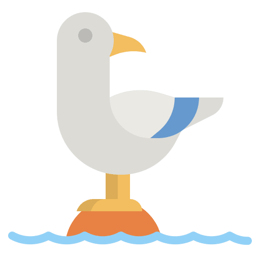 Seagull beak animal kingdom bird icon