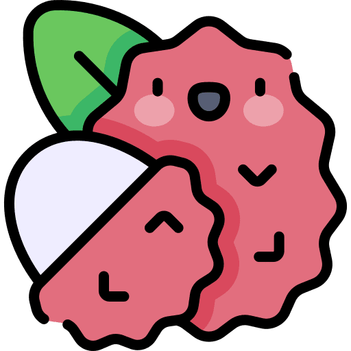 Lychee vegetarian healthy food organic icon
