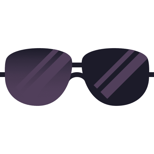 Sunglasses glasses accessories summer icon