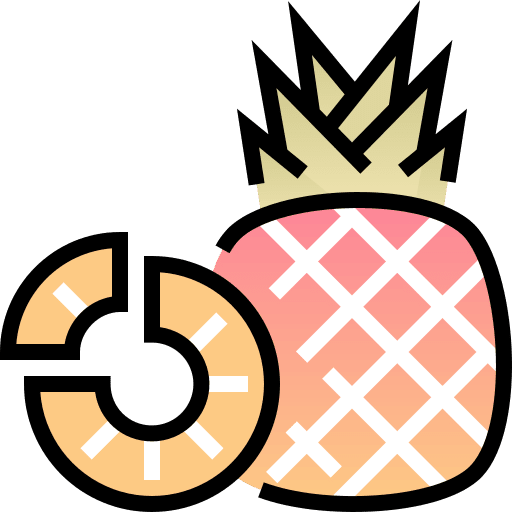 Pineapple summer pineapple slice icon Pineapple summer pineapple slice icon