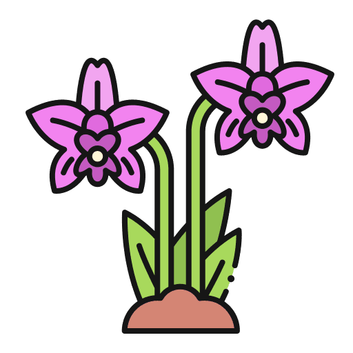 Orchid botanical gardening nature icon