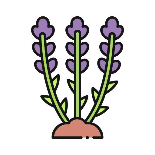 Lavender essence aroma nature icon Lavender essence aroma nature icon