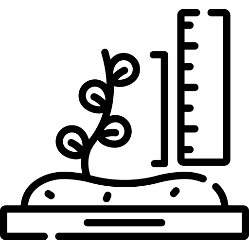 Size plant organic size icon