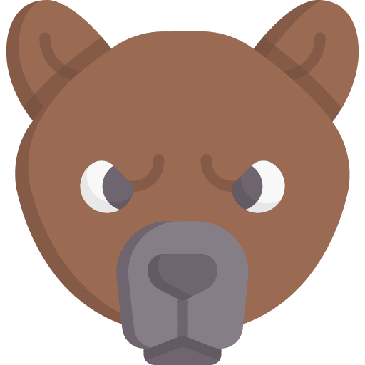 Bear animal kingdom bear animals icon Bear animal kingdom bear animals icon