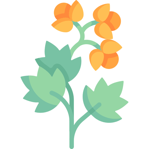 Flower yoga garden chakra icon Flower yoga garden chakra icon