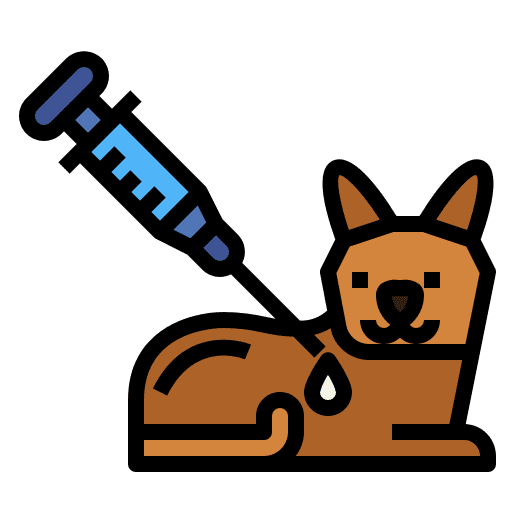 Cat vaccination cat veterinary icon