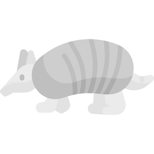 Armadillo animal kingdom animals zoo icon