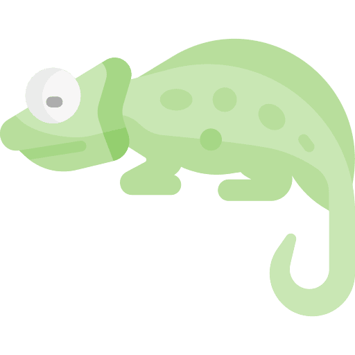 Chameleon animals animal kingdom chameleon icon
