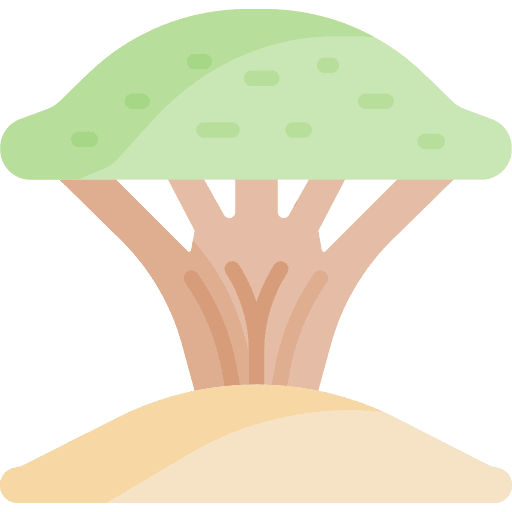 Tree desert tropical botany icon