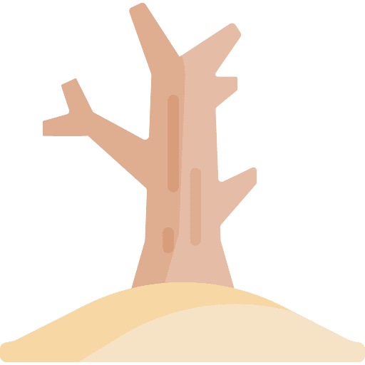 Tree desertification nature natural disaster icon